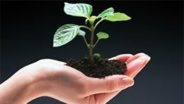 イメージ:ESGへの取り組み